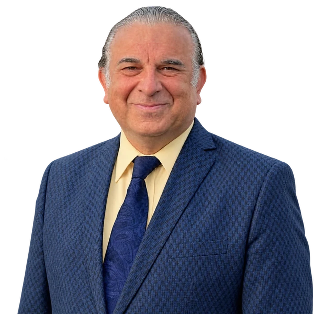 Farbod Farbi Noorani